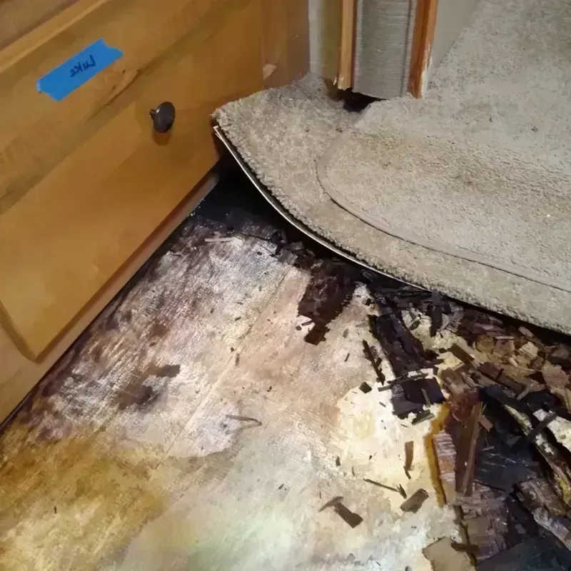 Best Wood Floor Water Damage Service in Lexington, KY